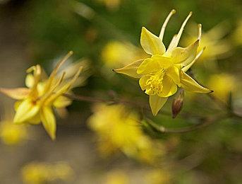 《光环：无限》圣诞档上市 首发暂无合作与锻造模式